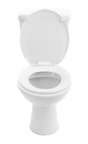 white toilet