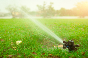 A sprinkler at dawn.