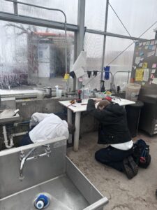 Two Applewood employees fixing pipes in a greenhouse.