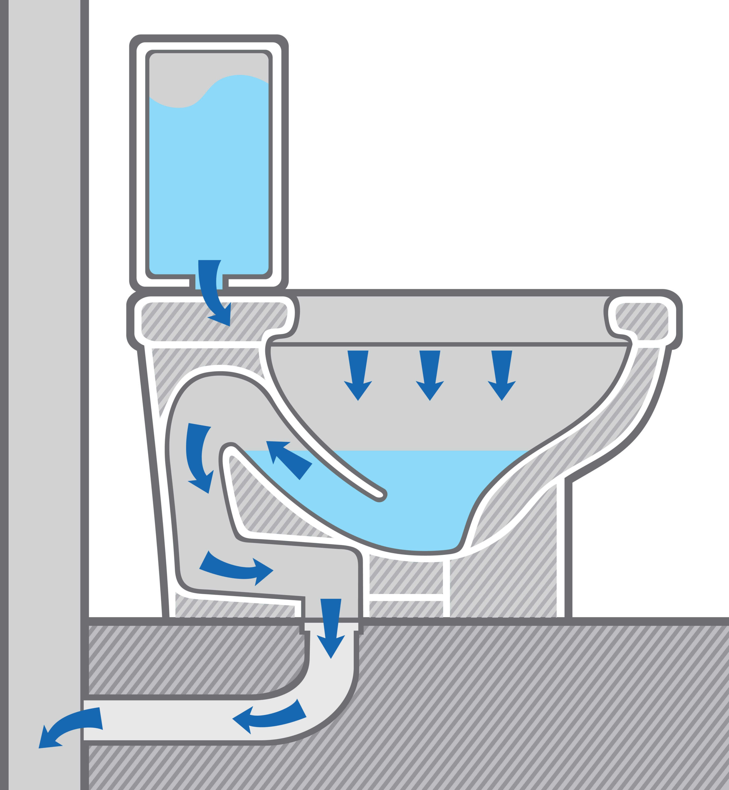 Cross section of the water flow of a toilet.