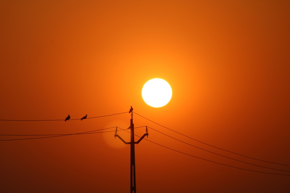 The sun shines through an orange haze with a powerline in silhouette.