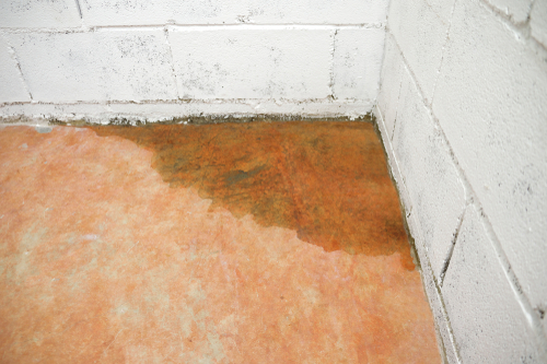 Water seeping into a basement corner.