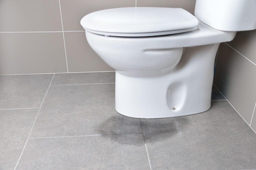 Water pooling around the base of a toilet, a possible sign of a leaking wax ring.